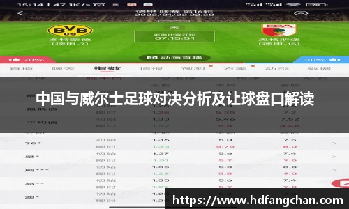 中国与威尔士足球对决分析及让球盘口解读